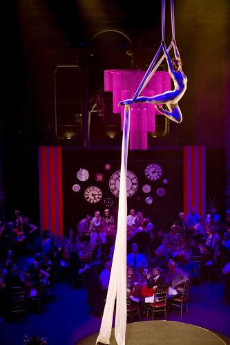 Speciality Acts for all types of Events, Weddings , Corporate Events, Festivals, TV Aerialist Performers